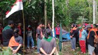 IMG-20201121-WA0053