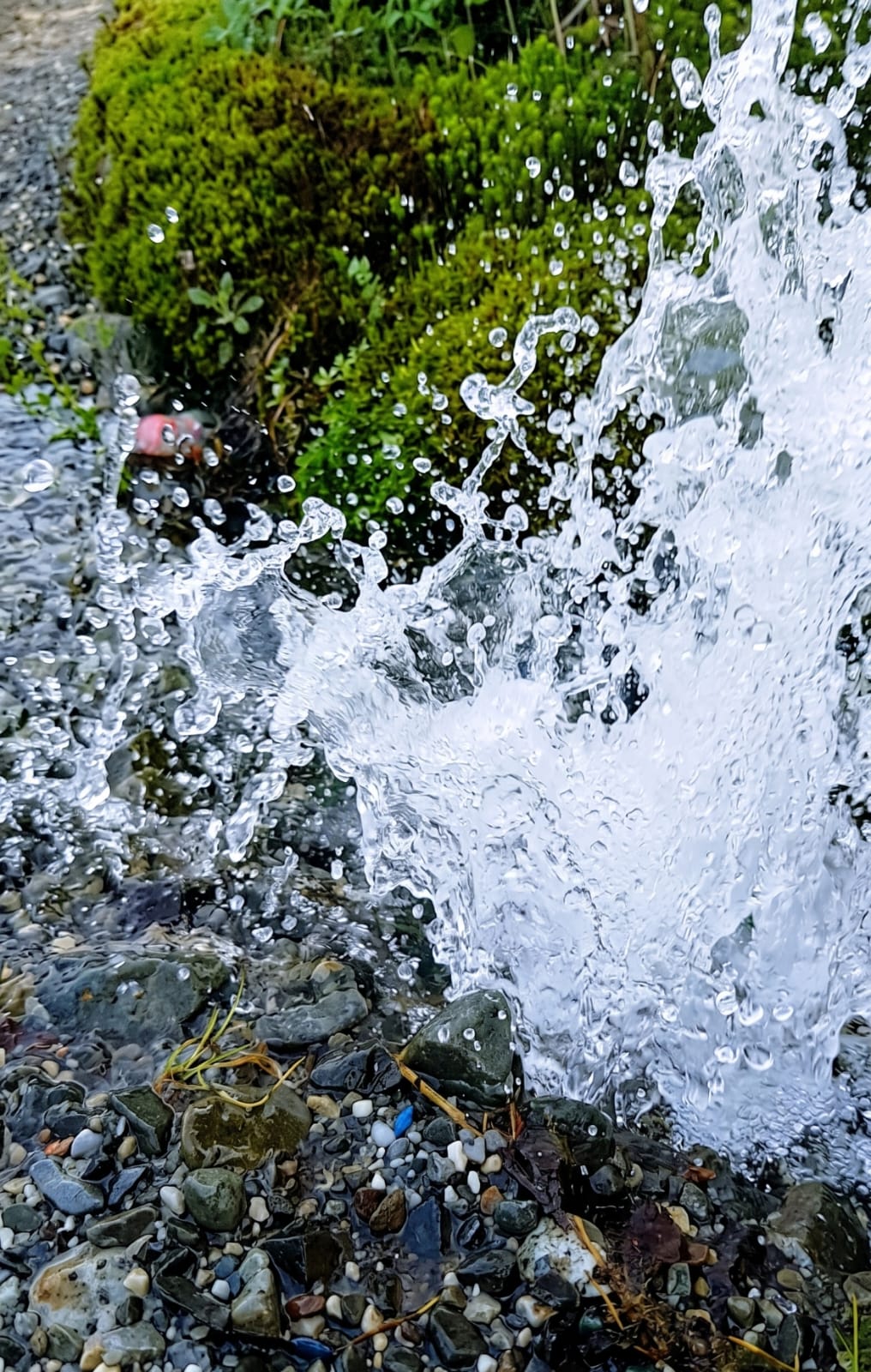 IMG-20260815-WA0009