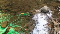 IMG-20261015-WA0024